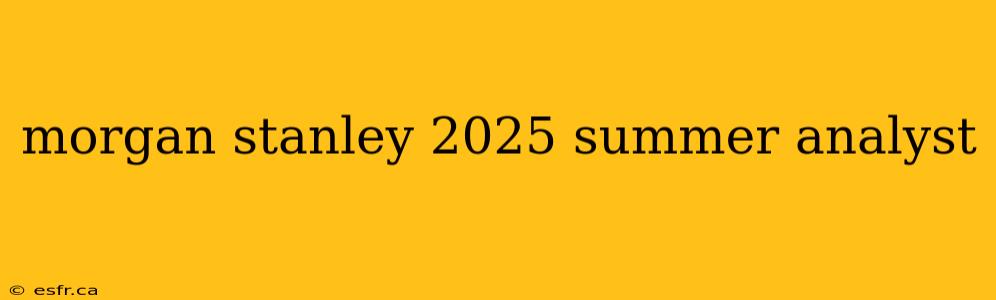 morgan stanley 2025 summer analyst