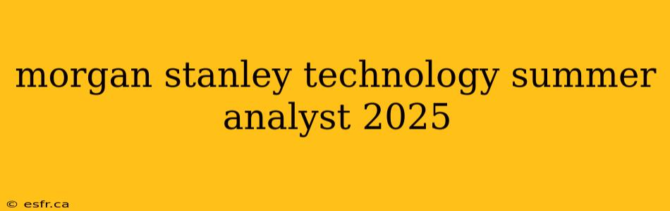 morgan stanley technology summer analyst 2025