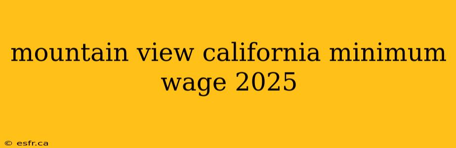 mountain view california minimum wage 2025