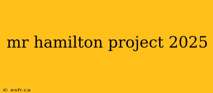 mr hamilton project 2025