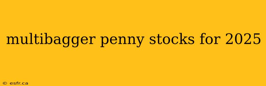 multibagger penny stocks for 2025