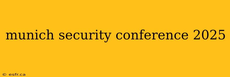 munich security conference 2025