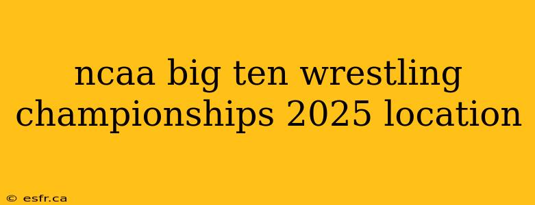 ncaa big ten wrestling championships 2025 location