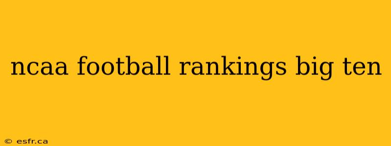 ncaa football rankings big ten