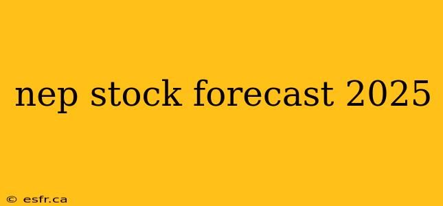 nep stock forecast 2025