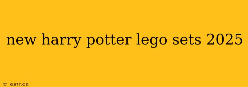 new harry potter lego sets 2025