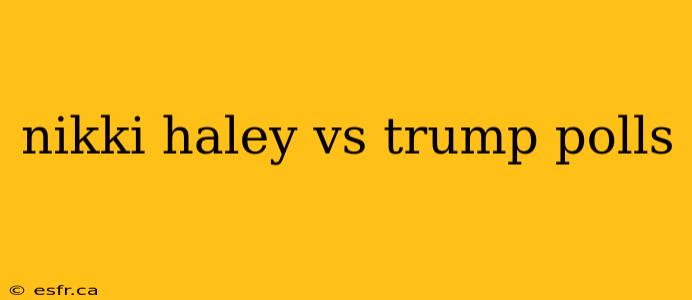 nikki haley vs trump polls