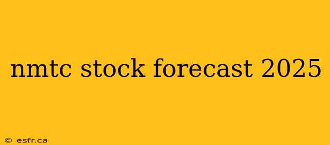 nmtc stock forecast 2025