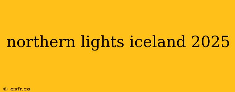 northern lights iceland 2025