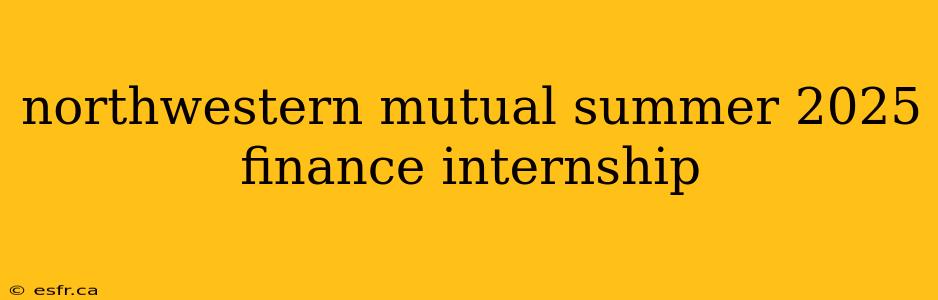 northwestern mutual summer 2025 finance internship