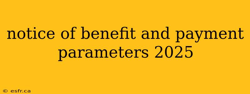 notice of benefit and payment parameters 2025