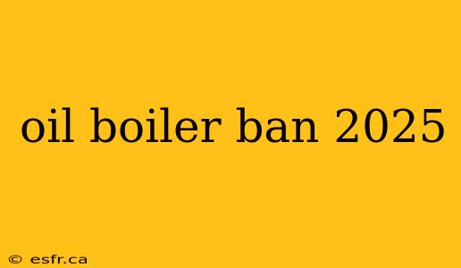 oil boiler ban 2025