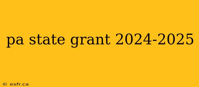 pa state grant 2024-2025