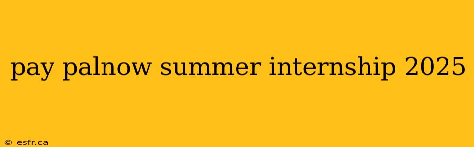 pay palnow summer internship 2025