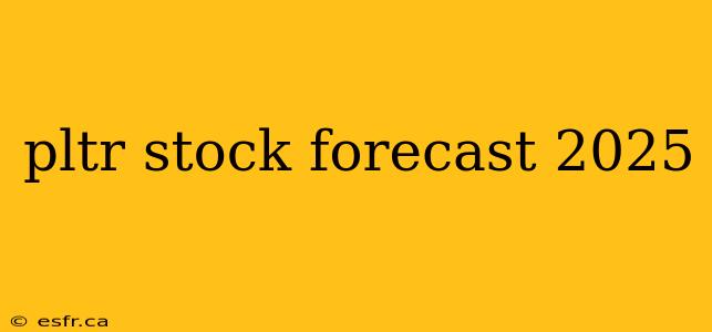 pltr stock forecast 2025