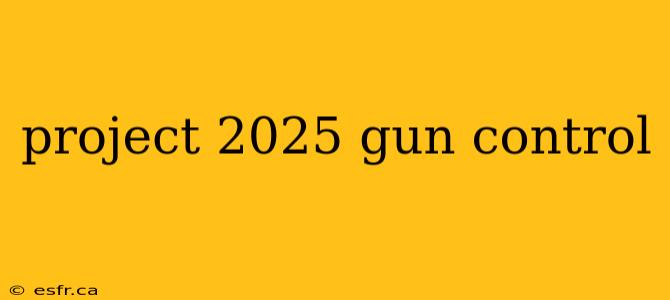 project 2025 gun control