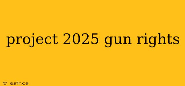 project 2025 gun rights