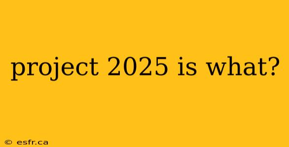 project 2025 is what?