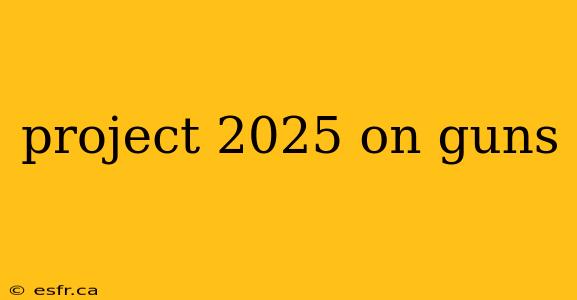 project 2025 on guns