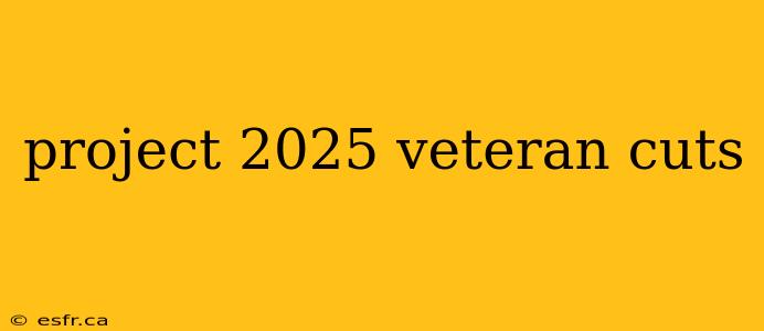 project 2025 veteran cuts