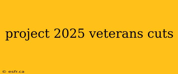 project 2025 veterans cuts