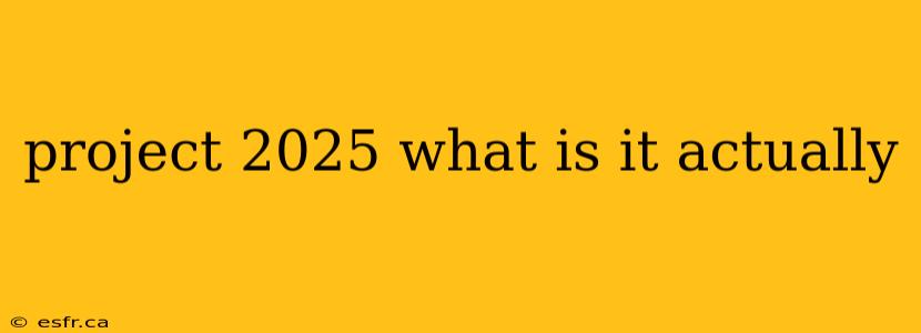 project 2025 what is it actually