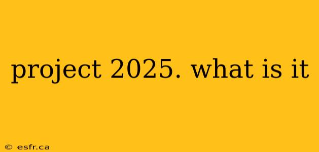 project 2025. what is it