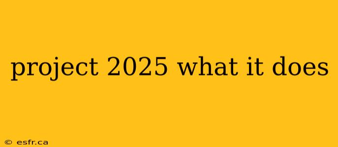 project 2025 what it does