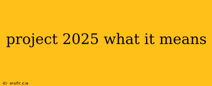 project 2025 what it means