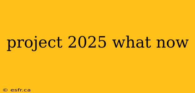 project 2025 what now