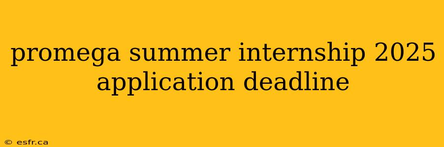 promega summer internship 2025 application deadline