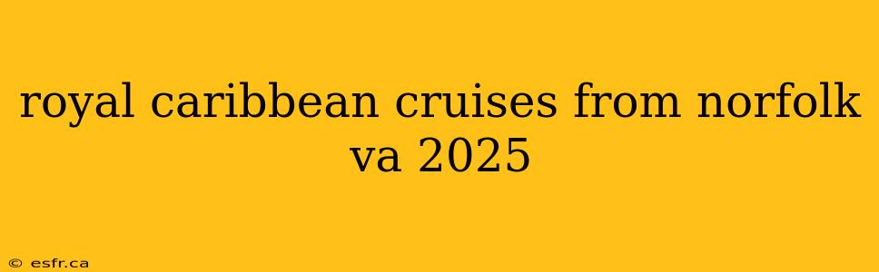 royal caribbean cruises from norfolk va 2025