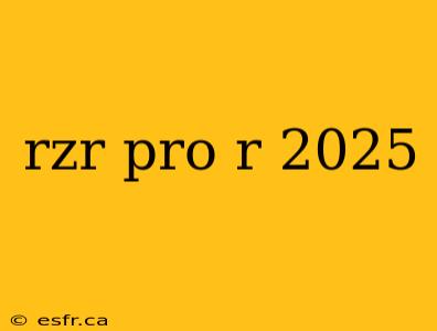 rzr pro r 2025