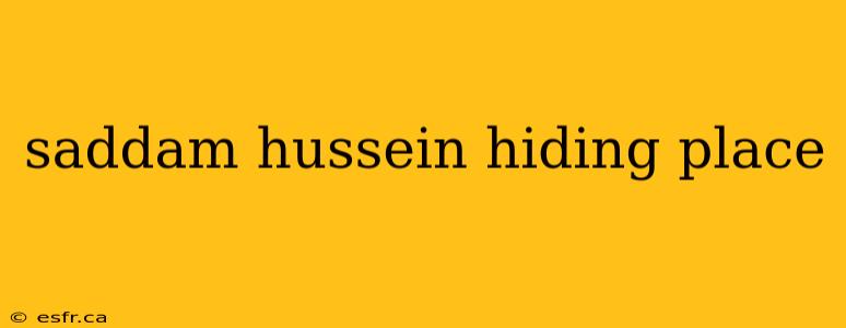 saddam hussein hiding place