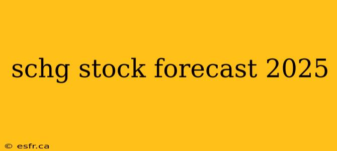 schg stock forecast 2025