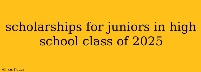 scholarships for juniors in high school class of 2025