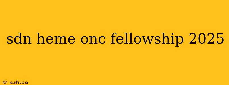 sdn heme onc fellowship 2025