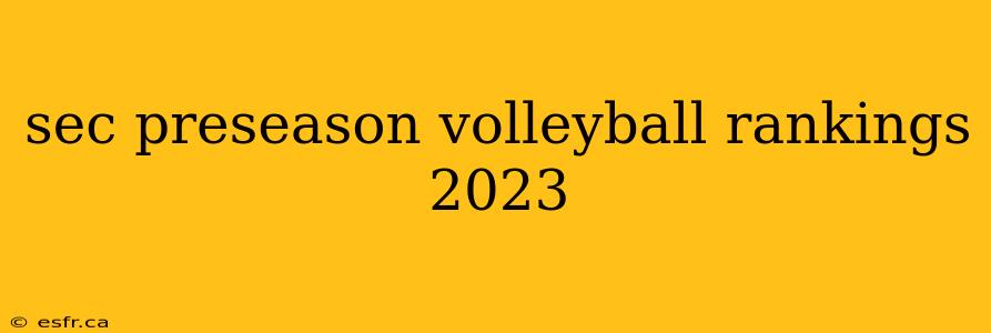 sec preseason volleyball rankings 2023