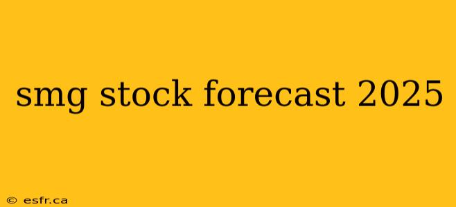 smg stock forecast 2025