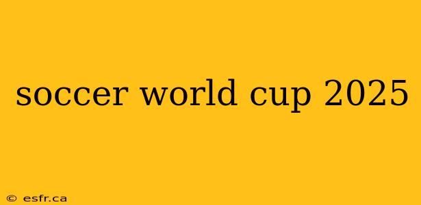 soccer world cup 2025