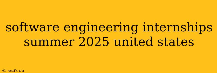 software engineering internships summer 2025 united states