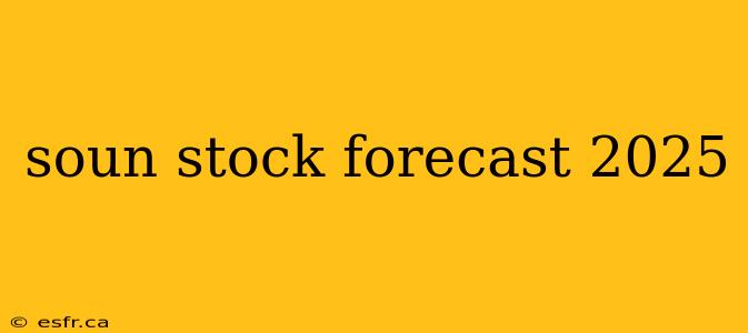 soun stock forecast 2025