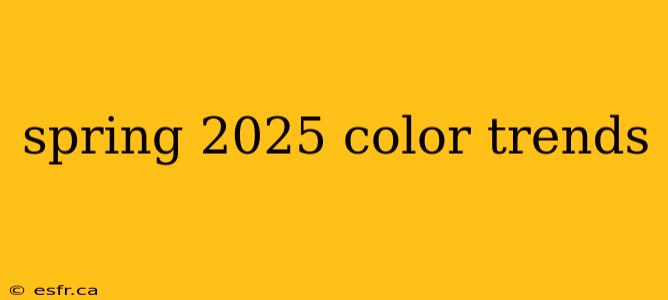 spring 2025 color trends