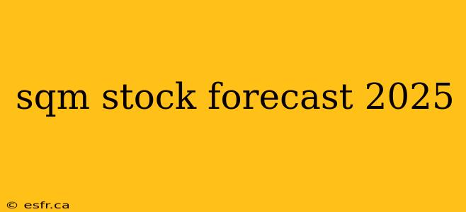 sqm stock forecast 2025