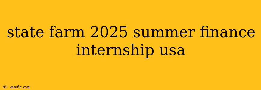 state farm 2025 summer finance internship usa