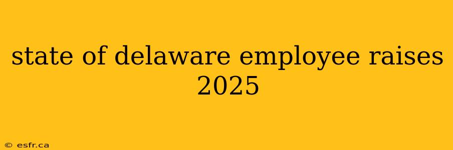 state of delaware employee raises 2025