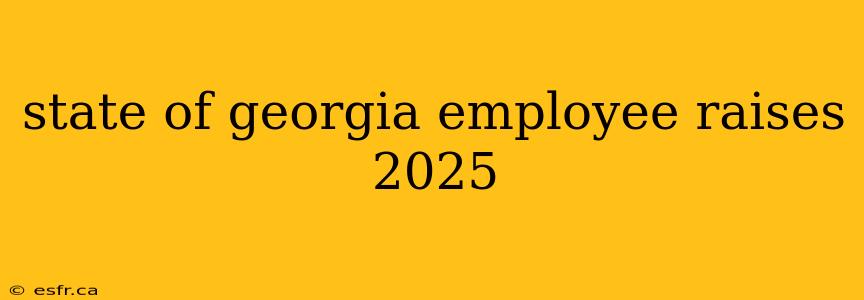 state of georgia employee raises 2025