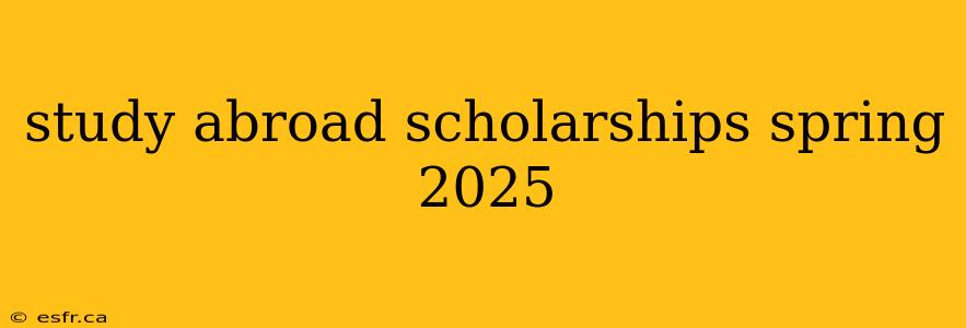 study abroad scholarships spring 2025