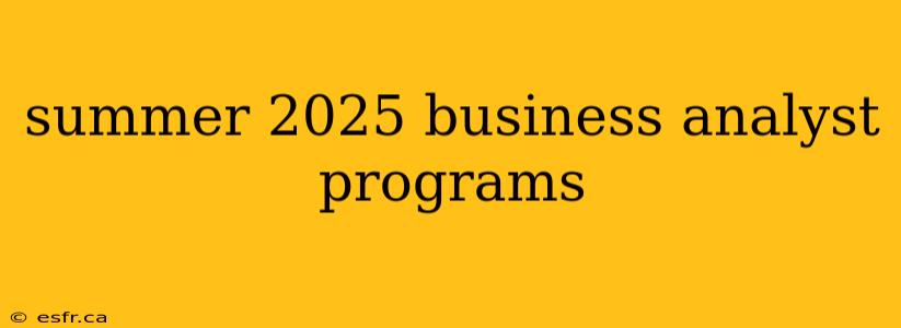 summer 2025 business analyst programs