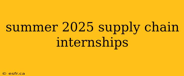 summer 2025 supply chain internships